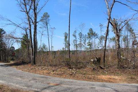 Madwind Rd, Jacksons Gap, AL 36861 photo 2