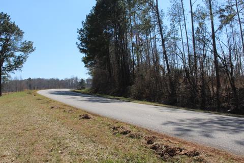 Madwind Rd, Jacksons Gap, AL 36861 photo 9