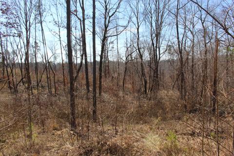Madwind Rd, Jacksons Gap, AL 36861 photo 12
