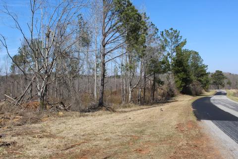 Madwind Rd, Jacksons Gap, AL 36861 photo 7