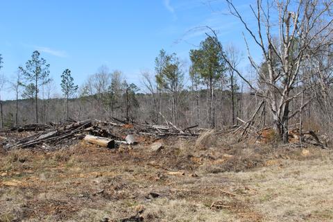 Madwind Rd, Jacksons Gap, AL 36861 photo 8