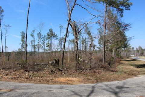 Madwind Rd, Jacksons Gap, AL 36861