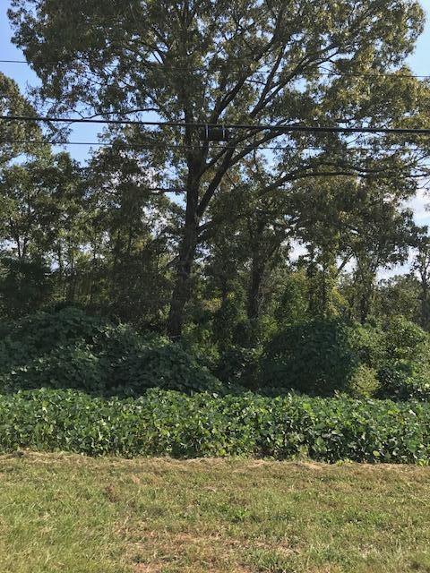South St, Dadeville, AL 36853