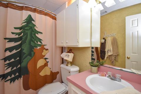 145 Birch Rd, Equality, AL 36026 photo 70