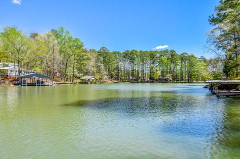 145 Birch Rd, Equality, AL 36026 photo 87