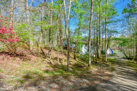 145 Birch Rd, Equality, AL 36026 photo 96