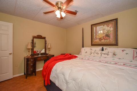 145 Birch Rd, Equality, AL 36026 photo 74