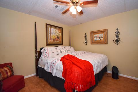 145 Birch Rd, Equality, AL 36026 photo 73
