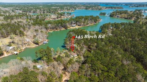145 Birch Rd, Equality, AL 36026 photo 90