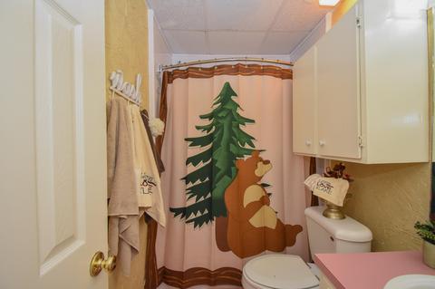 145 Birch Rd, Equality, AL 36026 photo 71