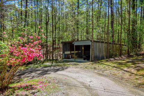 145 Birch Rd, Equality, AL 36026 photo 102