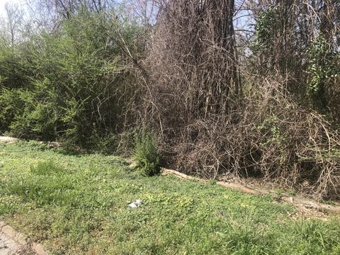 lot18 Bishop St, Alexander City, AL 35010