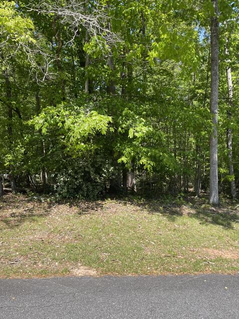 lot11 Knollwood Dr, Dadeville, AL 36853