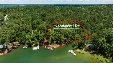 75 Oakcrest Dr, Eclectic, AL 36024 photo 18