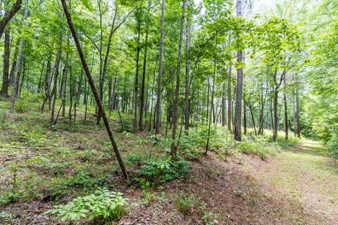 4626 Simpson Rd, Daviston, AL 36256 photo 102