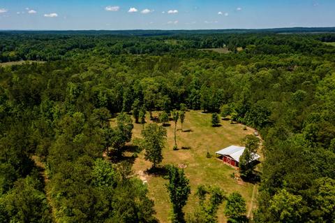 4626 Simpson Rd, Daviston, AL 36256 photo 93