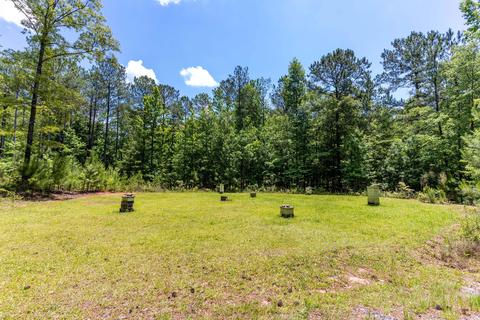 4626 Simpson Rd, Daviston, AL 36256 photo 95