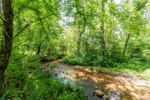 4626 Simpson Rd, Daviston, AL 36256 photo 104
