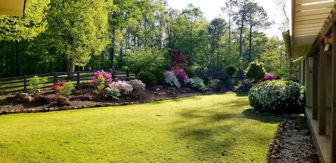 4626 Simpson Rd, Daviston, AL 36256 photo 13