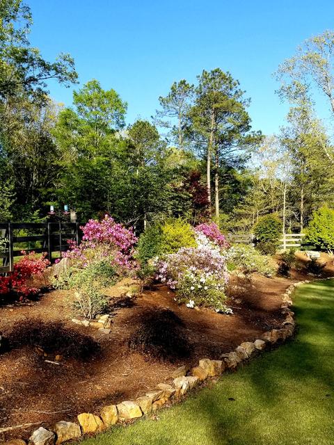 4626 Simpson Rd, Daviston, AL 36256 photo 15