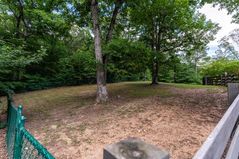 4626 Simpson Rd, Daviston, AL 36256 photo 23