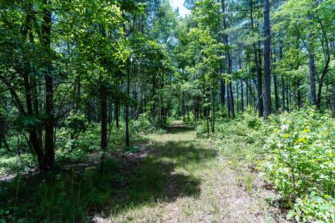 4626 Simpson Rd, Daviston, AL 36256 photo 98