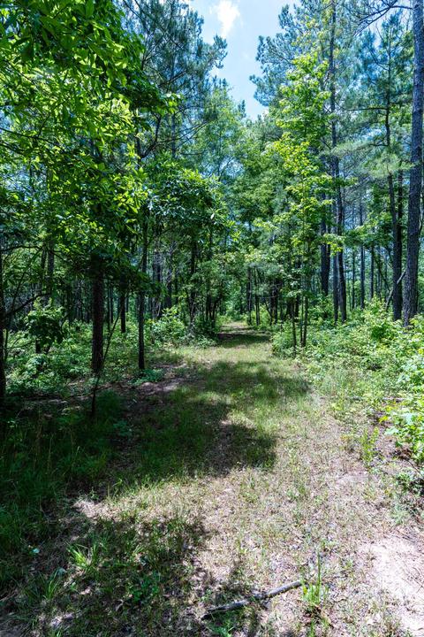 4626 Simpson Rd, Daviston, AL 36256 photo 99