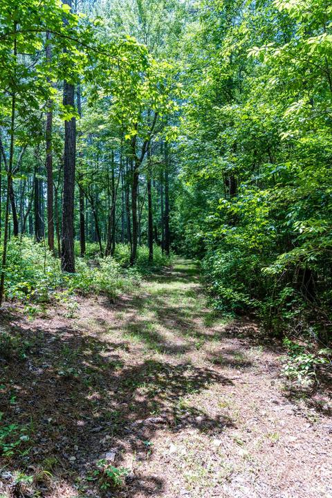 4626 Simpson Rd, Daviston, AL 36256 photo 100