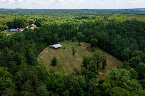 4626 Simpson Rd, Daviston, AL 36256 photo 92