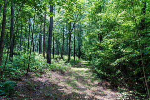 4626 Simpson Rd, Daviston, AL 36256 photo 101