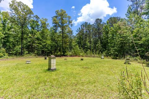 4626 Simpson Rd, Daviston, AL 36256 photo 94