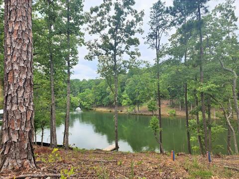 lot3 Sanctuary Cv, Dadeville, AL 36853