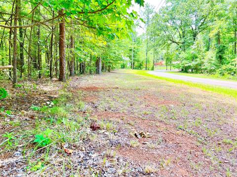 Lot 3 Weatherford Cir, Dadeville, AL 36853