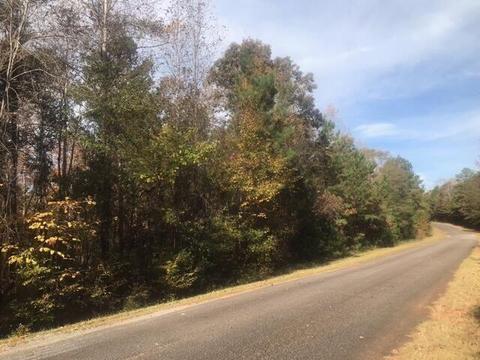 31 Acres Waterfront Rd, Dadeville, AL 36853