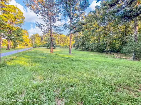 3200 Claud Rd, Eclectic, AL 36024 photo 64