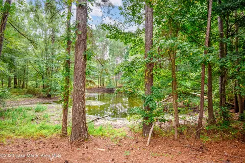 3200 Claud Rd, Eclectic, AL 36024 photo 58