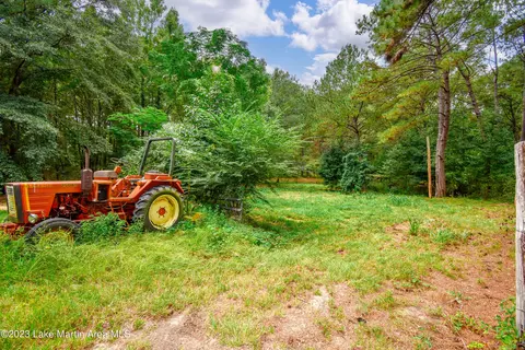 3200 Claud Rd, Eclectic, AL 36024 photo 62