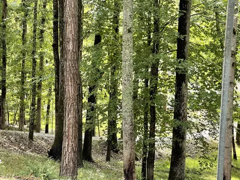 Lot 24 A Raintree Dr, Alexander City, AL 35010