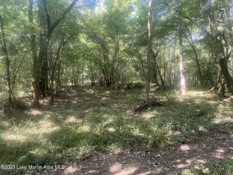 Buttston Rd, Dadeville, AL 36853