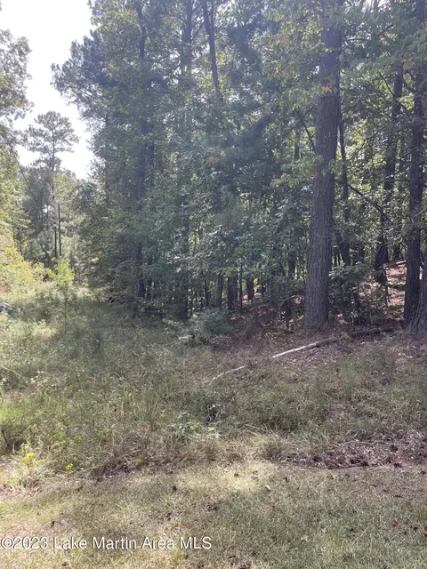 Pearly Dr, Eclectic, AL 36024 photo 5