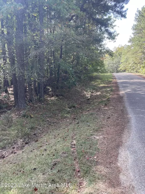 Pearly Dr, Eclectic, AL 36024 photo 6