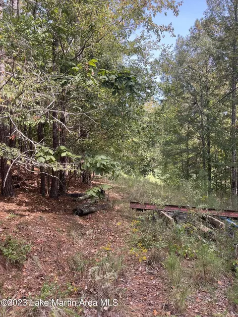 Pearly Dr, Eclectic, AL 36024 photo 4