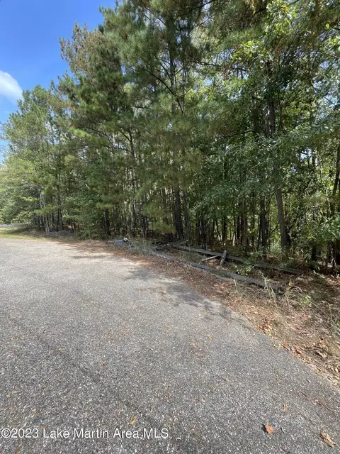 Pearly Dr, Eclectic, AL 36024 photo 2