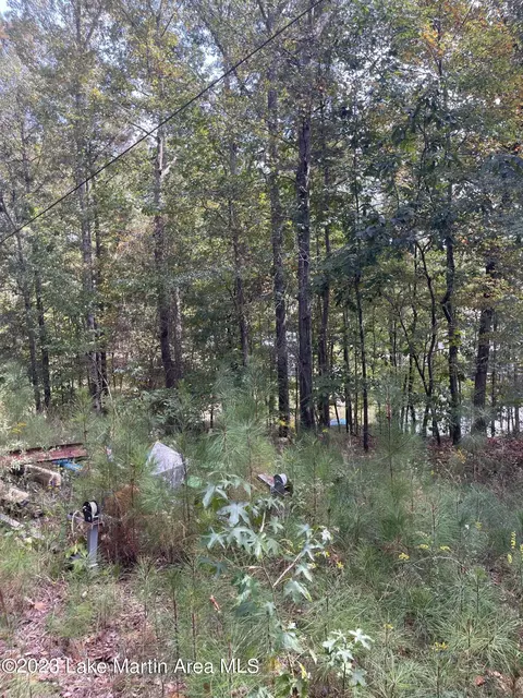 Pearly Dr, Eclectic, AL 36024