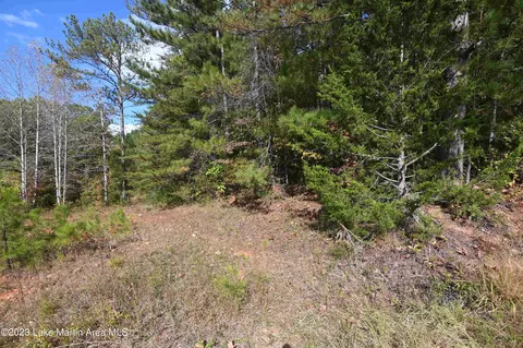 Vaughn Loop, Jacksons Gap, AL 36861 photo 3