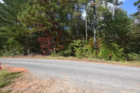 Vaughn Loop, Jacksons Gap, AL 36861 photo 2