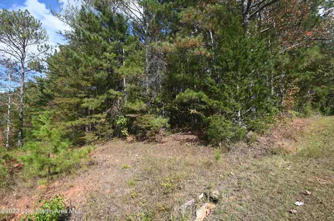 Vaughn Loop, Jacksons Gap, AL 36861 photo 4