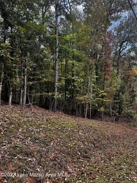 0 Whisperwood Dr, Dadeville, AL 36853
