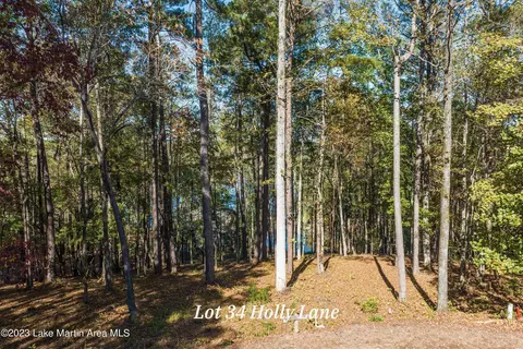 37 Holly Ln, Alexander City, AL 35010