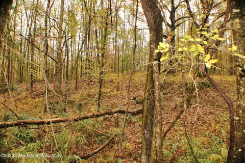 2048 Mt Hebron Rd, Eclectic, AL 36024 photo 15